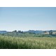 OLD COUNTRY HOUSE IN PANORAMIC POSITION IN LE MARCHE Farmhouse to restore with beautiful views of the surrounding hills for sale in Italy in Le Marche_29